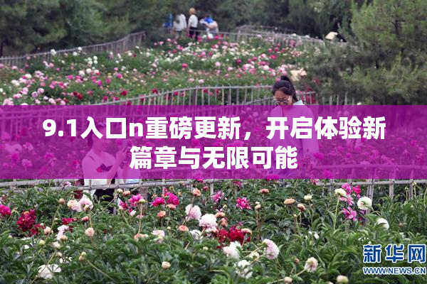 9.1入口n重磅更新，开启体验新篇章与无限可能