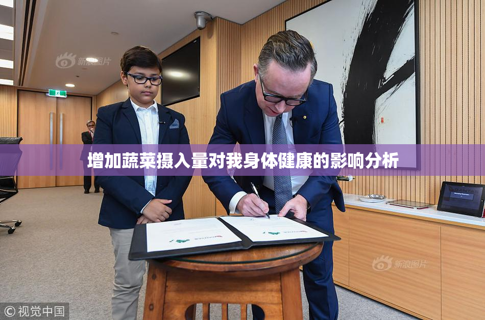 增加蔬菜摄入量对我身体健康的影响分析