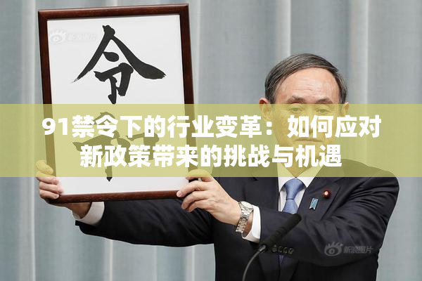 91禁令下的行业变革：如何应对新政策带来的挑战与机遇