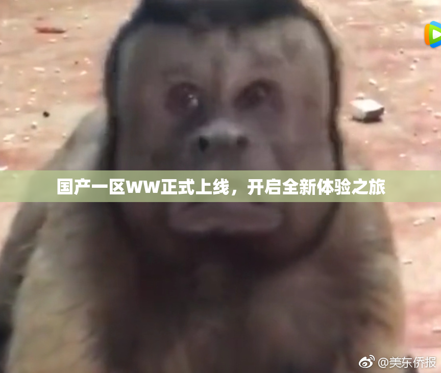 国产一区WW正式上线，开启全新体验之旅