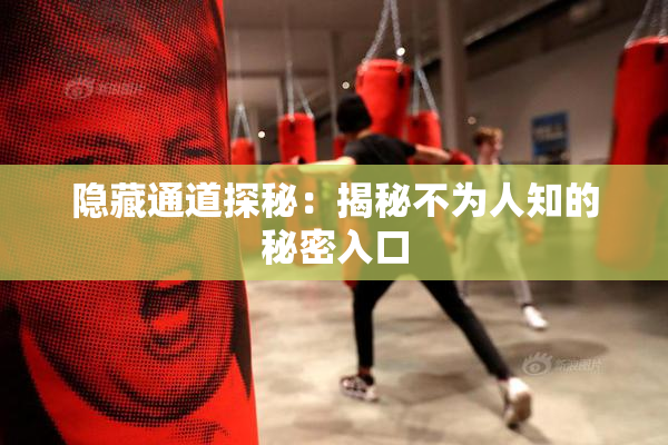 隐藏通道探秘：揭秘不为人知的秘密入口
