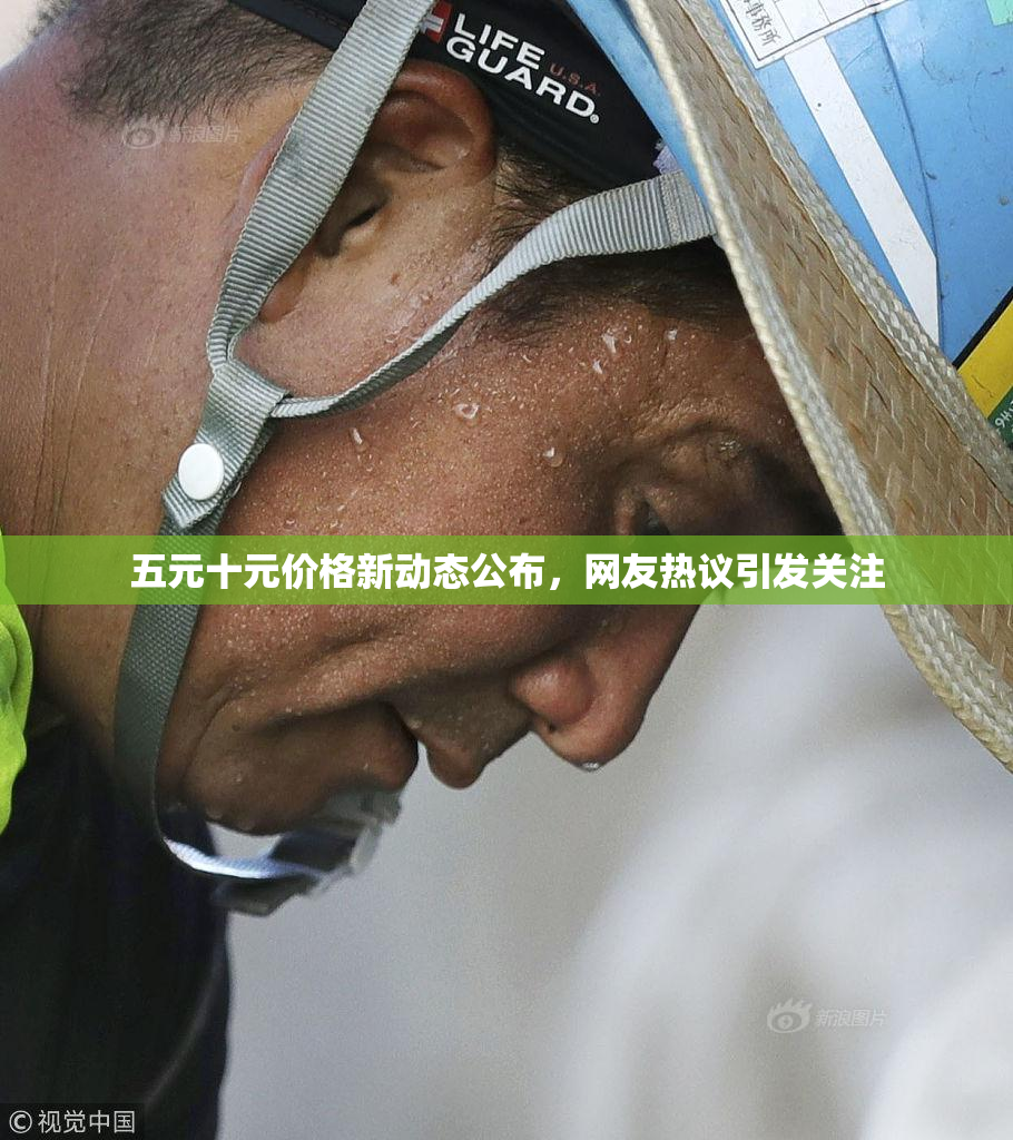 五元十元价格新动态公布，网友热议引发关注