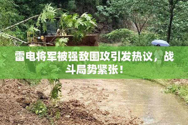 雷电将军被强敌围攻引发热议，战斗局势紧张！