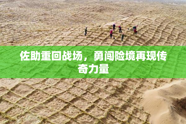 佐助重回战场，勇闯险境再现传奇力量