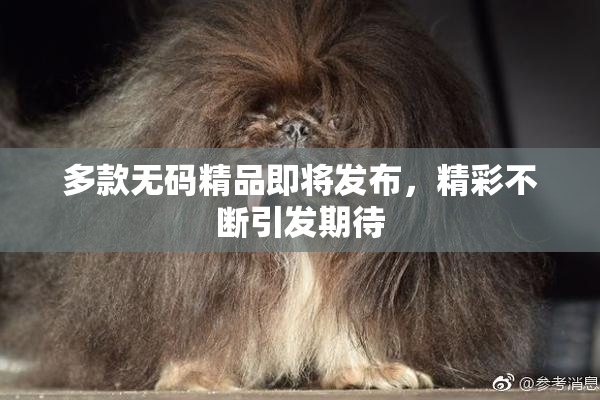 多款无码精品即将发布，精彩不断引发期待