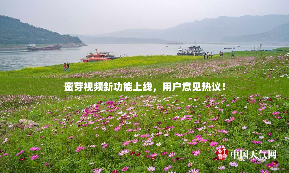 蜜芽视频新功能上线，用户意见热议！