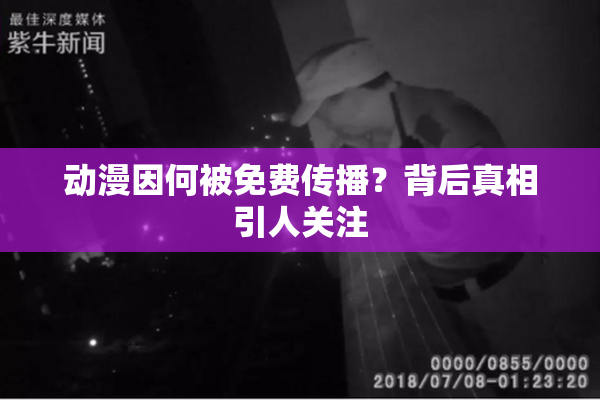 动漫因何被免费传播？背后真相引人关注
