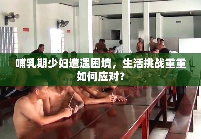 哺乳期少妇遭遇困境，生活挑战重重如何应对？