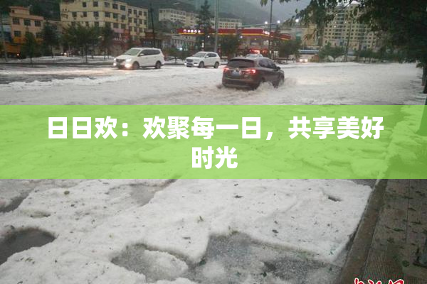 日日欢：欢聚每一日，共享美好时光