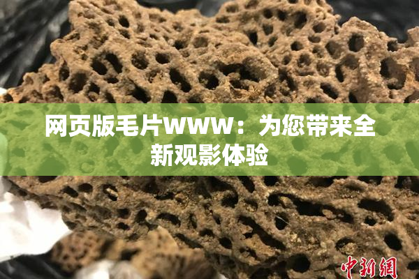 网页版毛片WWW：为您带来全新观影体验