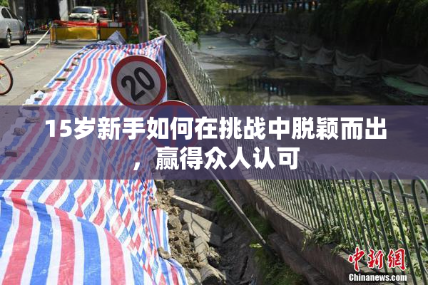15岁新手如何在挑战中脱颖而出，赢得众人认可