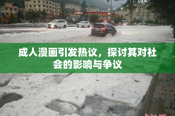 成人漫画引发热议，探讨其对社会的影响与争议