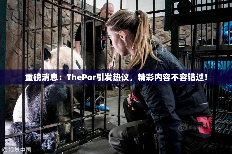 重磅消息：ThePor引发热议，精彩内容不容错过！