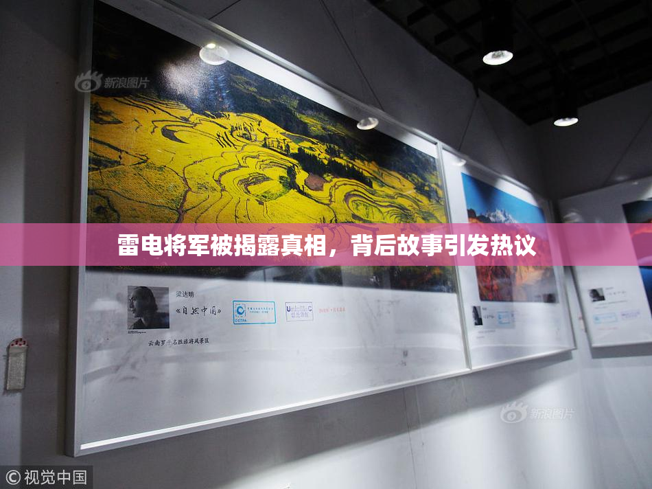 雷电将军被揭露真相，背后故事引发热议