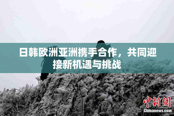 日韩欧洲亚洲携手合作，共同迎接新机遇与挑战