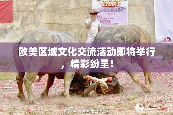 欧美区域文化交流活动即将举行，精彩纷呈！