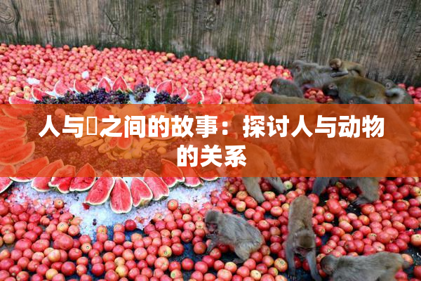 人与嘼之间的故事：探讨人与动物的关系