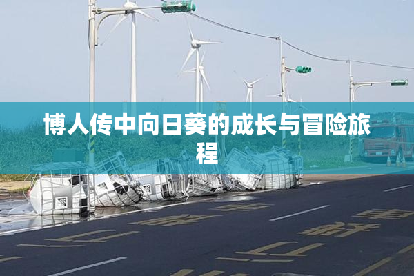 博人传中向日葵的成长与冒险旅程