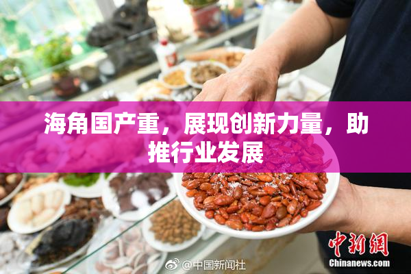 海角国产重，展现创新力量，助推行业发展