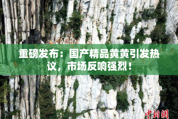 重磅发布：国产精品黄黄引发热议，市场反响强烈！