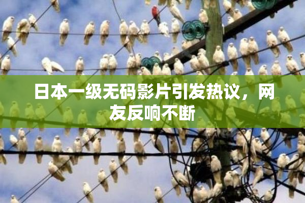 日本一级无码影片引发热议，网友反响不断