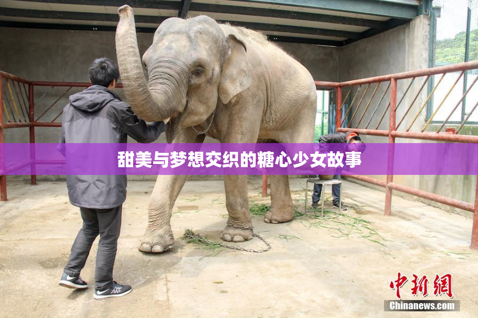 甜美与梦想交织的糖心少女故事