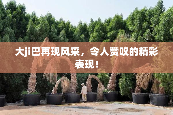 大ji巴再现风采，令人赞叹的精彩表现！