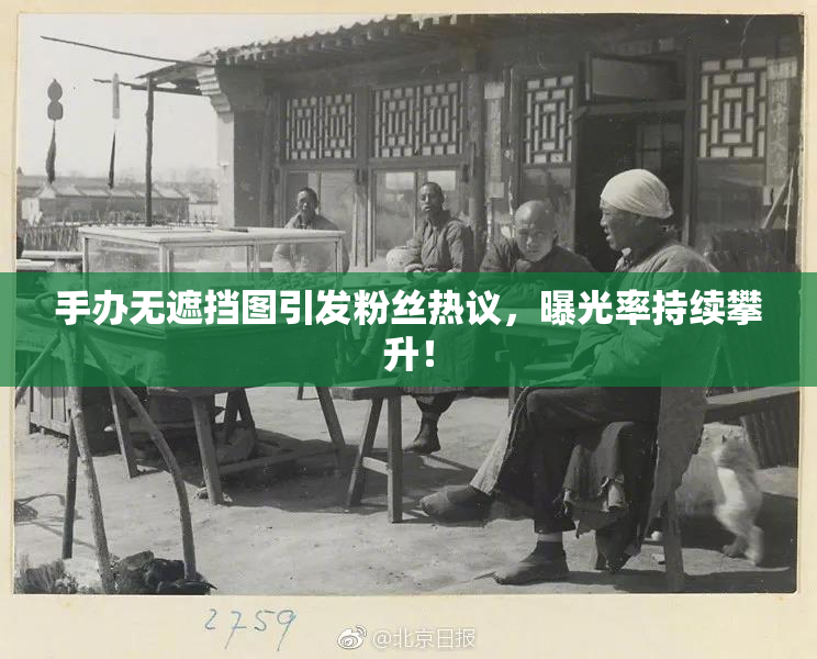 手办无遮挡图引发粉丝热议，曝光率持续攀升！