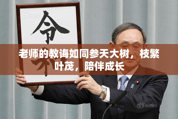 老师的教诲如同参天大树，枝繁叶茂，陪伴成长