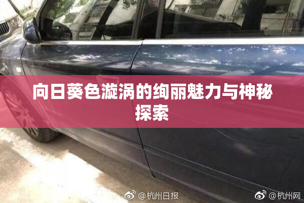 向日葵色漩涡的绚丽魅力与神秘探索