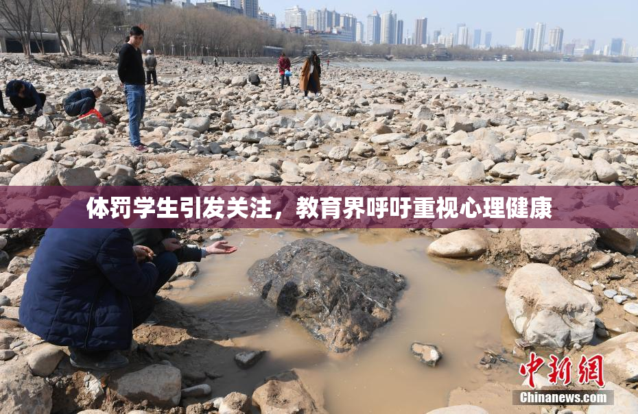 体罚学生引发关注，教育界呼吁重视心理健康