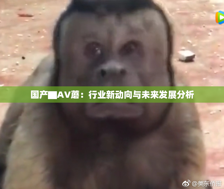 国产▇AV蘑：行业新动向与未来发展分析