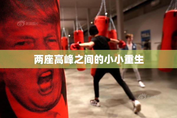 两座高峰之间的小小重生