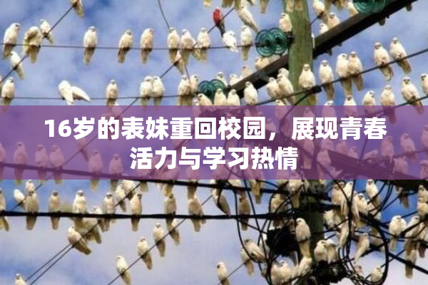16岁的表妹重回校园，展现青春活力与学习热情