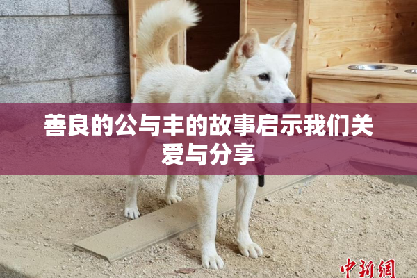 善良的公与丰的故事启示我们关爱与分享