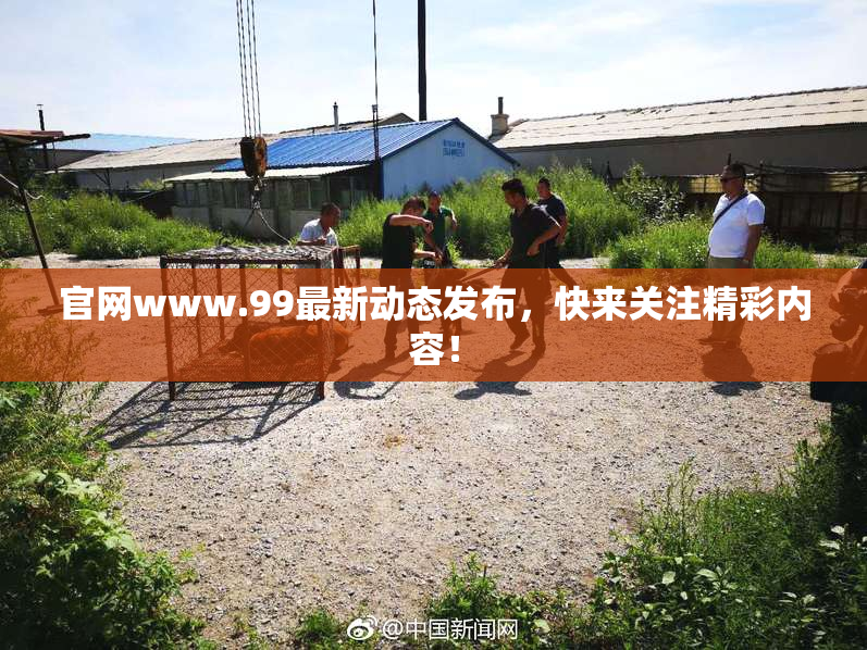 官网www.99最新动态发布，快来关注精彩内容！