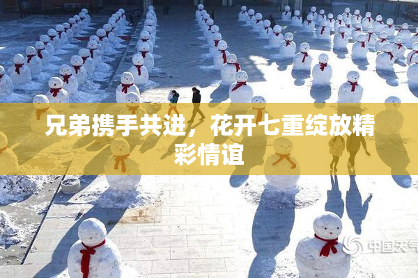 兄弟携手共进，花开七重绽放精彩情谊