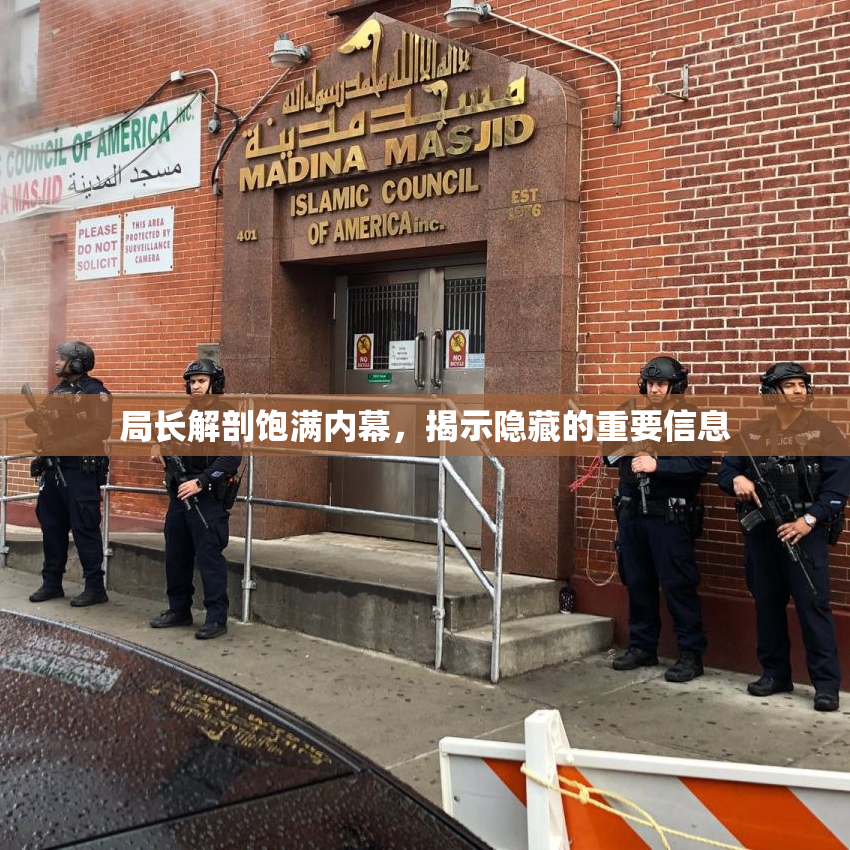 局长解剖饱满内幕，揭示隐藏的重要信息