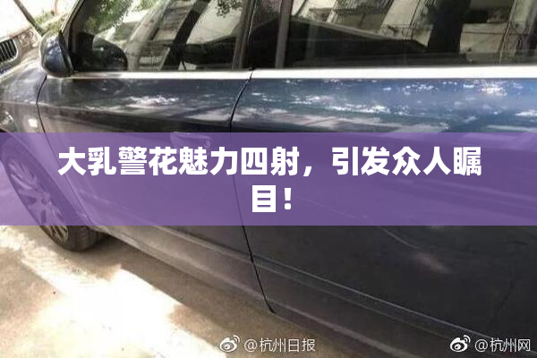 大乳警花魅力四射，引发众人瞩目！