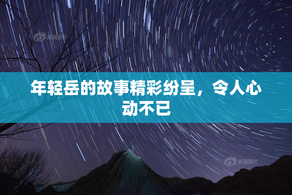 年轻岳的故事精彩纷呈，令人心动不已