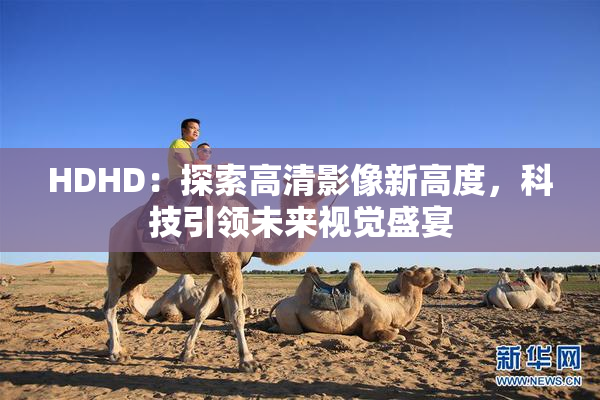 HDHD：探索高清影像新高度，科技引领未来视觉盛宴