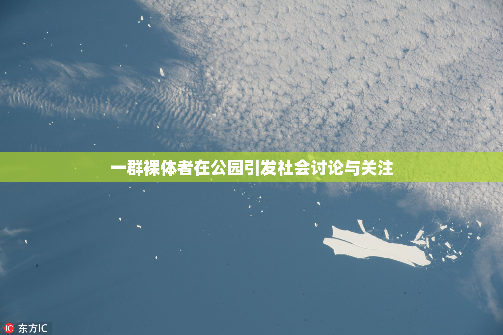 一群裸体者在公园引发社会讨论与关注