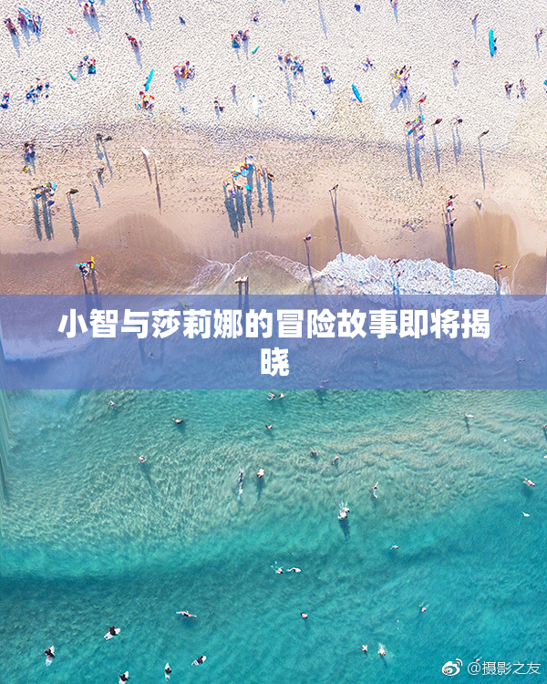 小智与莎莉娜的冒险故事即将揭晓