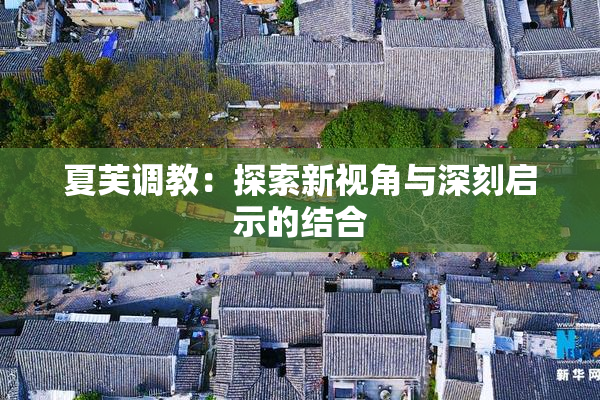 夏芙调教：探索新视角与深刻启示的结合