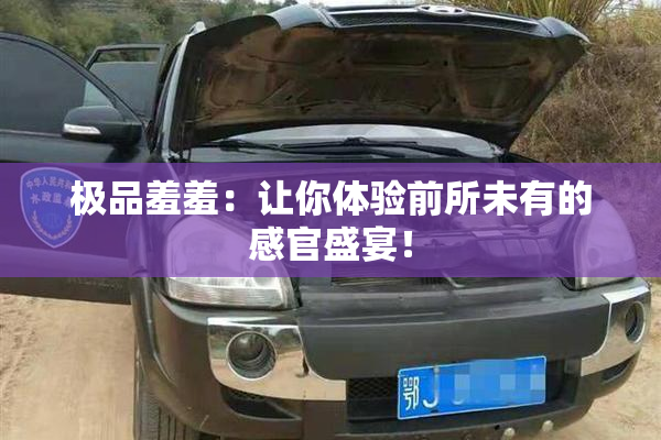 极品羞羞：让你体验前所未有的感官盛宴！