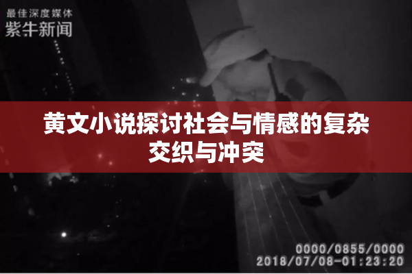 黄文小说探讨社会与情感的复杂交织与冲突