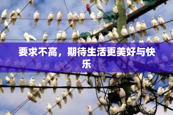 要求不高，期待生活更美好与快乐