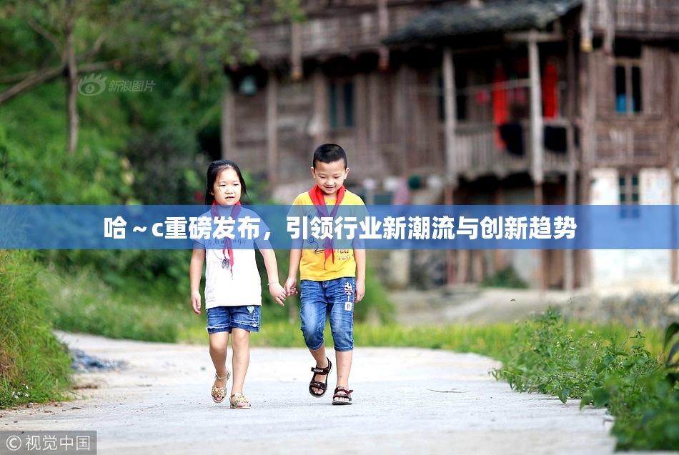 哈～c重磅发布，引领行业新潮流与创新趋势