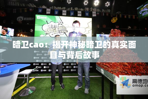 暗卫cao：揭开神秘暗卫的真实面目与背后故事