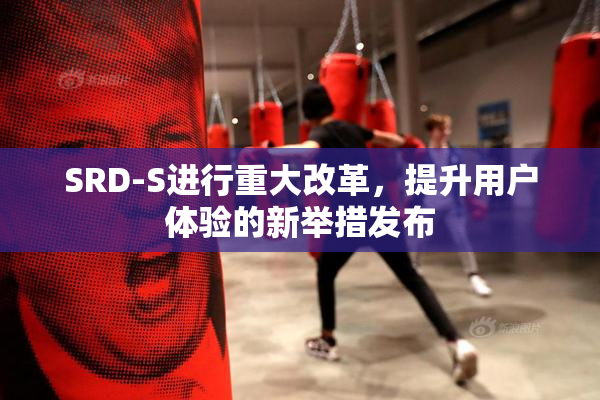 SRD-S进行重大改革，提升用户体验的新举措发布